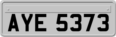 AYE5373