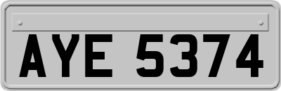 AYE5374
