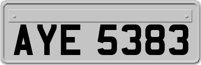 AYE5383
