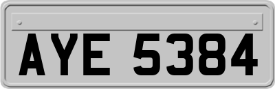 AYE5384