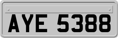 AYE5388