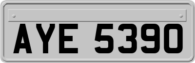 AYE5390