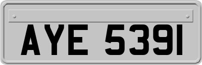 AYE5391