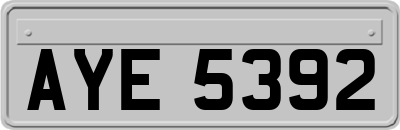 AYE5392