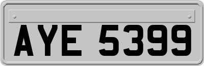 AYE5399
