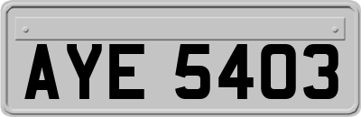 AYE5403