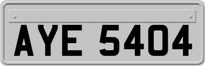 AYE5404