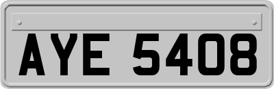 AYE5408