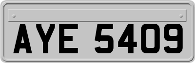 AYE5409