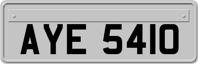 AYE5410