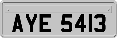 AYE5413