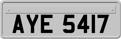 AYE5417