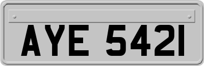 AYE5421