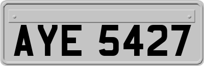 AYE5427