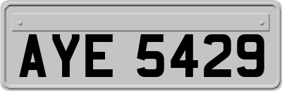 AYE5429