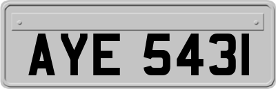 AYE5431