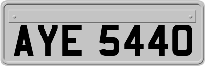 AYE5440