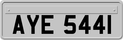AYE5441