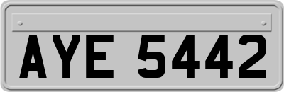 AYE5442