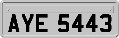 AYE5443