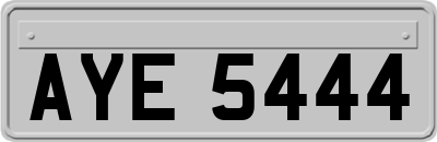 AYE5444