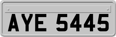 AYE5445