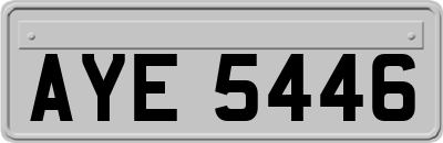 AYE5446