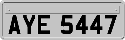 AYE5447