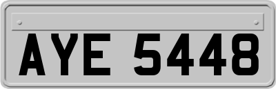 AYE5448