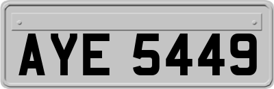 AYE5449