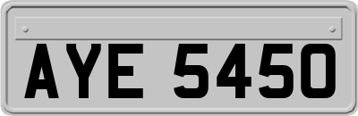 AYE5450