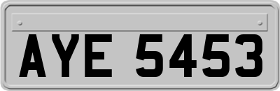 AYE5453