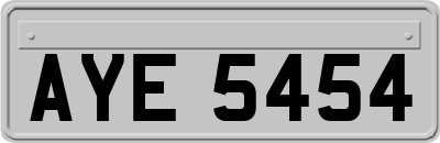 AYE5454