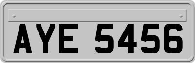 AYE5456