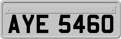 AYE5460