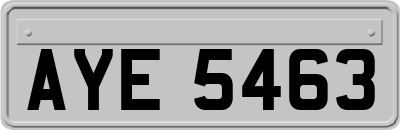 AYE5463