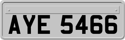 AYE5466