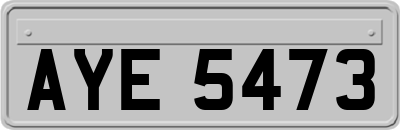 AYE5473