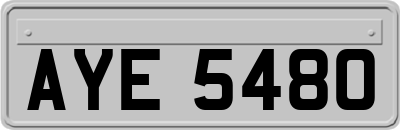 AYE5480