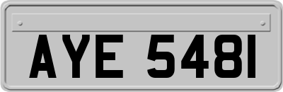 AYE5481