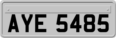AYE5485