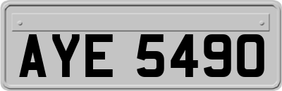 AYE5490