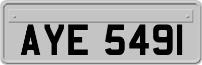 AYE5491