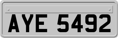 AYE5492