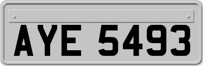 AYE5493