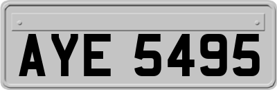 AYE5495
