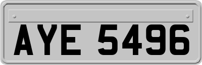 AYE5496