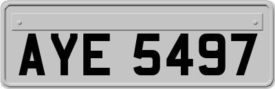 AYE5497