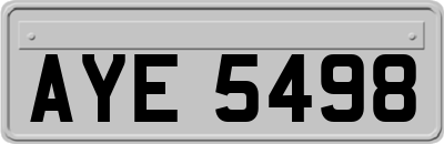 AYE5498