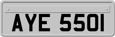 AYE5501
